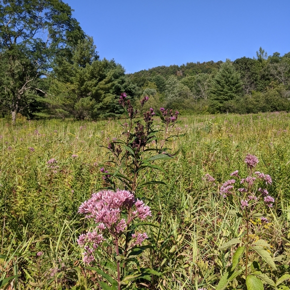 Meet your Posher, Julia - Picture 8 of 10